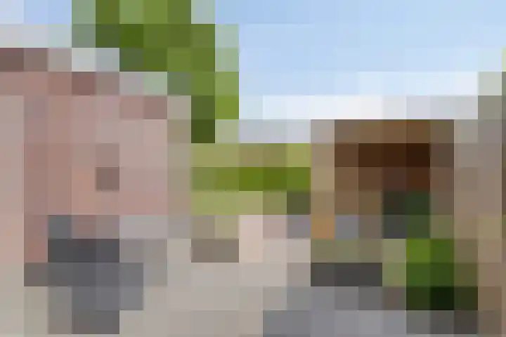 Spoorwiel 16 Lunteren thumbnail 29