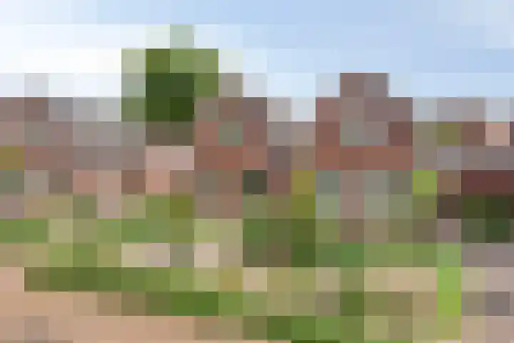 Spoorwiel 16 Lunteren thumbnail 38