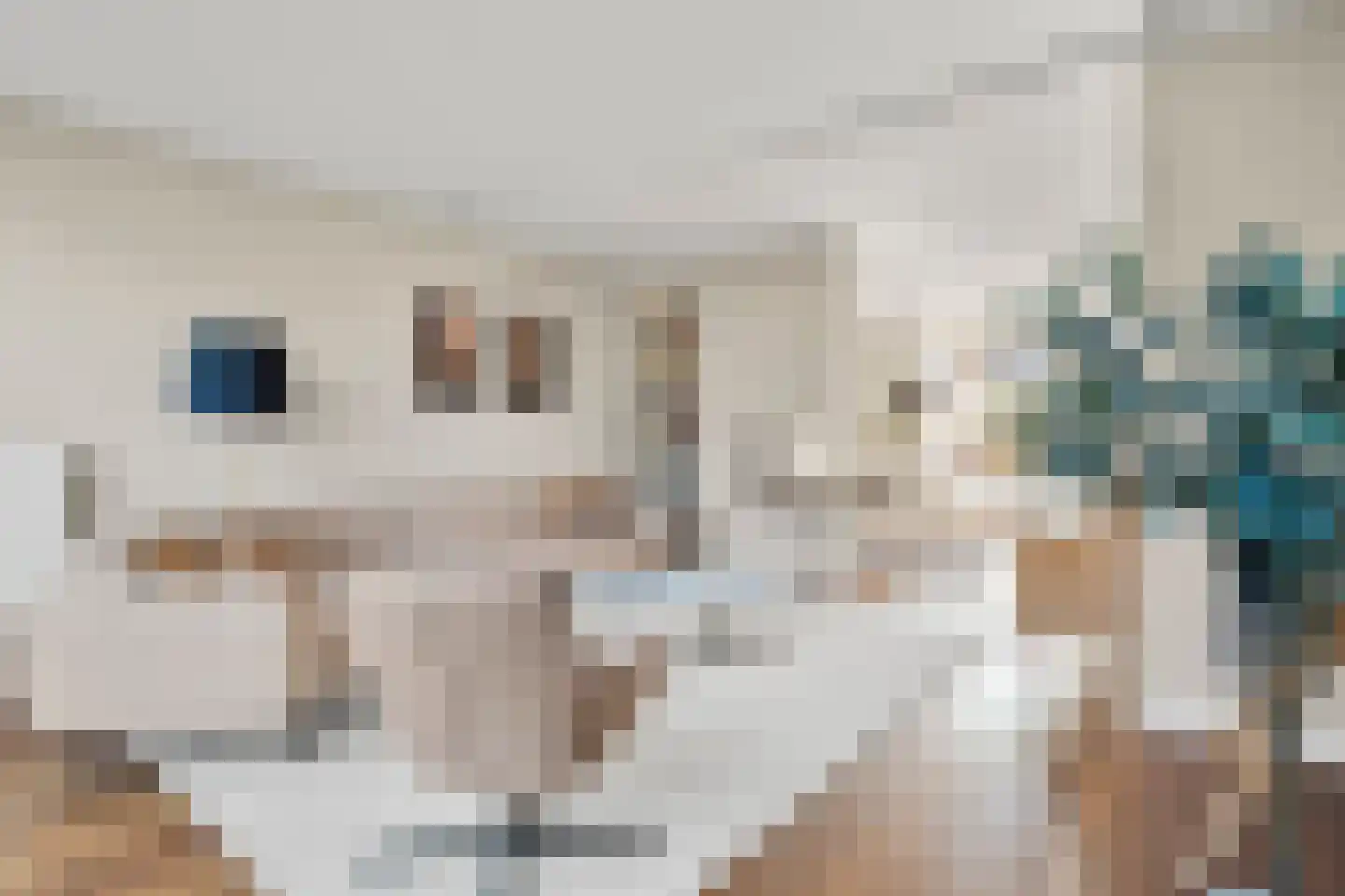 Spoorwiel 19 Lunteren thumbnail 10