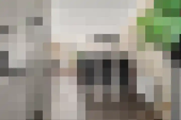Spoorwiel 2 Lunteren thumbnail 15