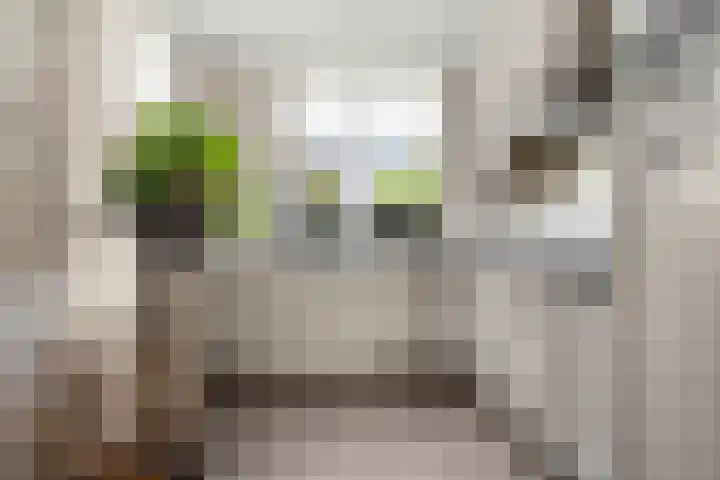Spoorwiel 2 Lunteren thumbnail 16