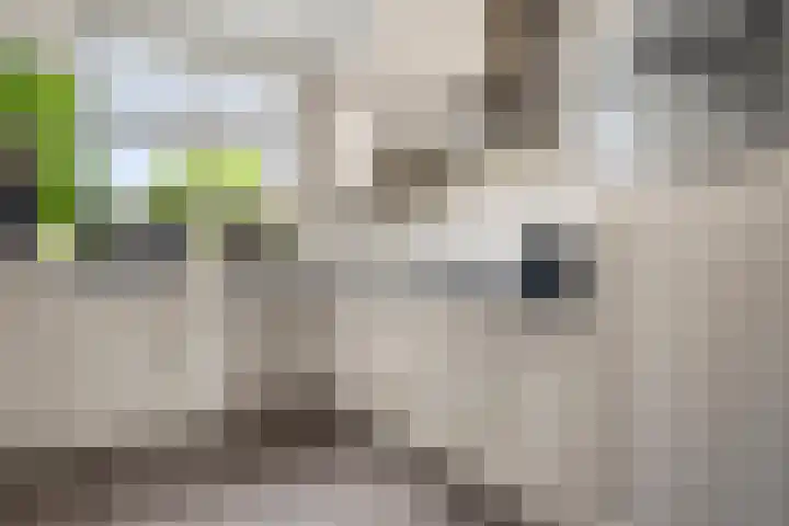 Spoorwiel 2 Lunteren thumbnail 17