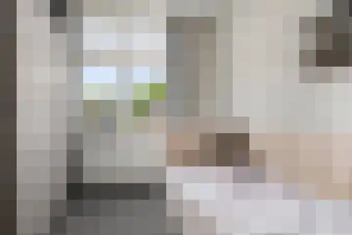 Spoorwiel 2 Lunteren thumbnail 23