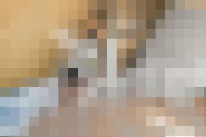 Spoorwiel 2 Lunteren thumbnail 29