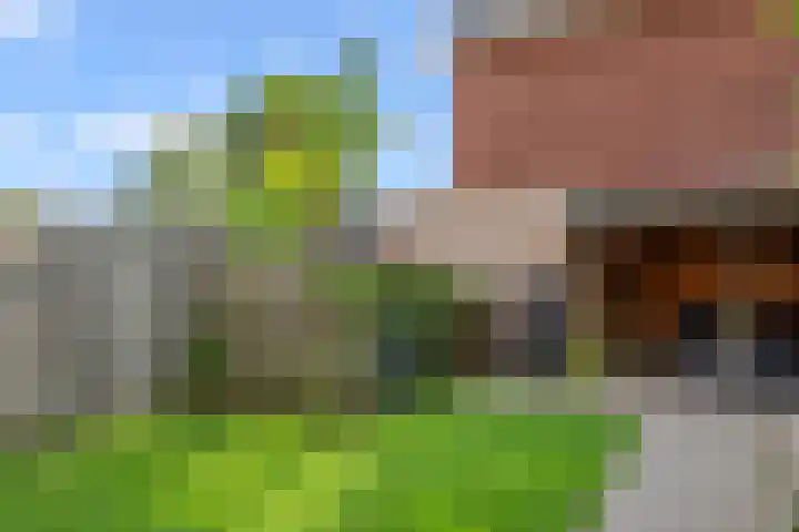 Spoorwiel 2 Lunteren thumbnail 33