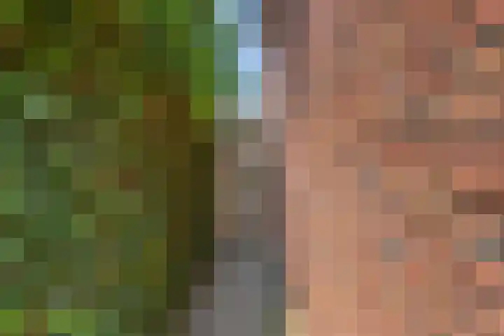 Spoorwiel 2 Lunteren thumbnail 36
