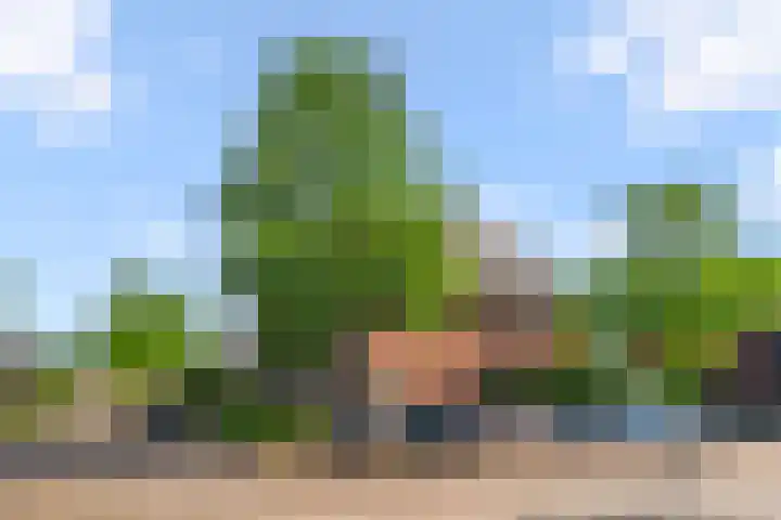 Spoorwiel 2 Lunteren thumbnail 37