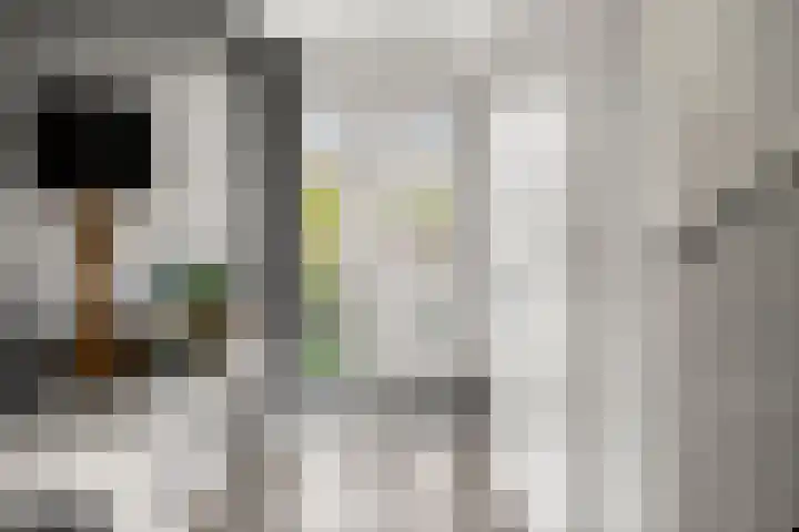 Spoorwiel 2 Lunteren thumbnail 6