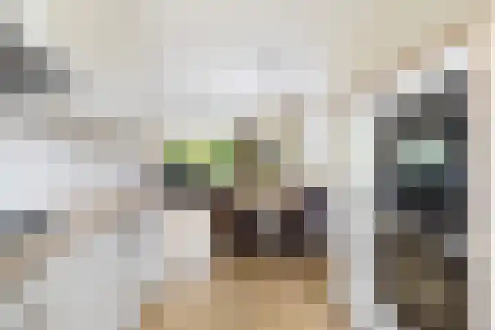 Spoorwiel 26 Lunteren thumbnail 10