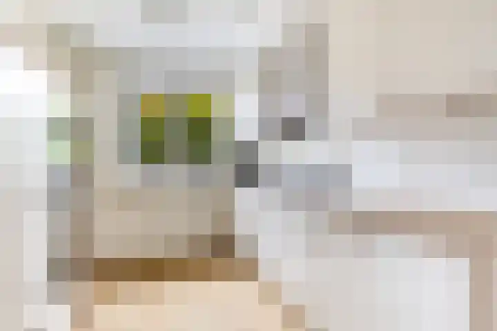 Spoorwiel 26 Lunteren thumbnail 11