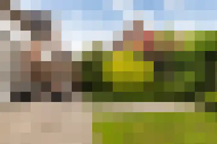 Spoorwiel 26 Lunteren thumbnail 26