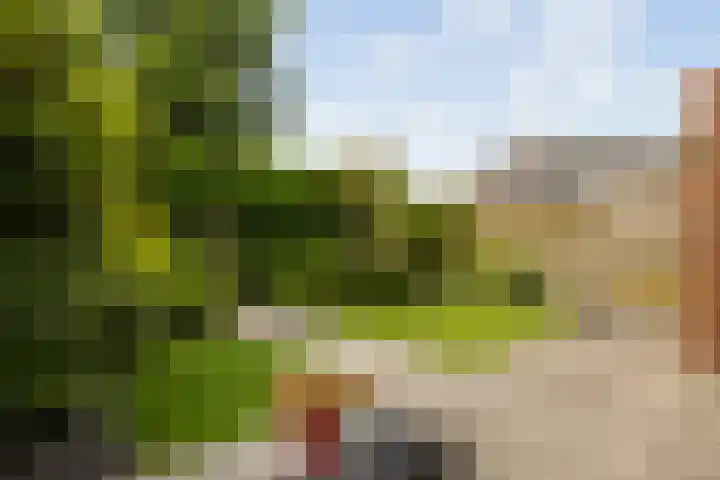 Spoorwiel 26 Lunteren thumbnail 27