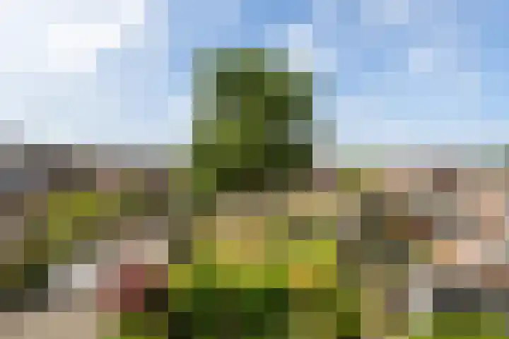Spoorwiel 26 Lunteren thumbnail 32
