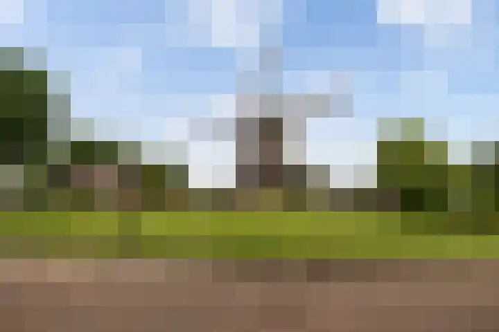 Spoorwiel 26 Lunteren thumbnail 34