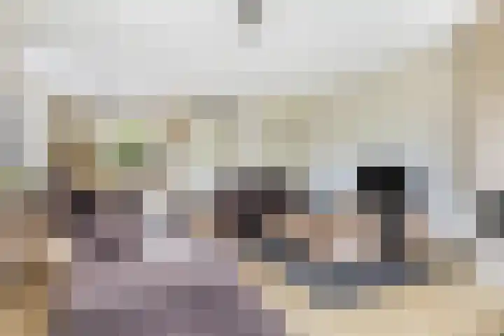 Spoorwiel 26 Lunteren thumbnail 7