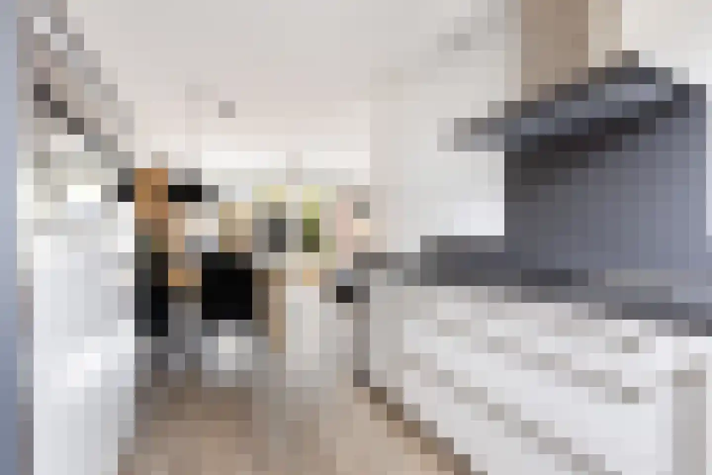 Spoorwiel 30 Lunteren thumbnail 6