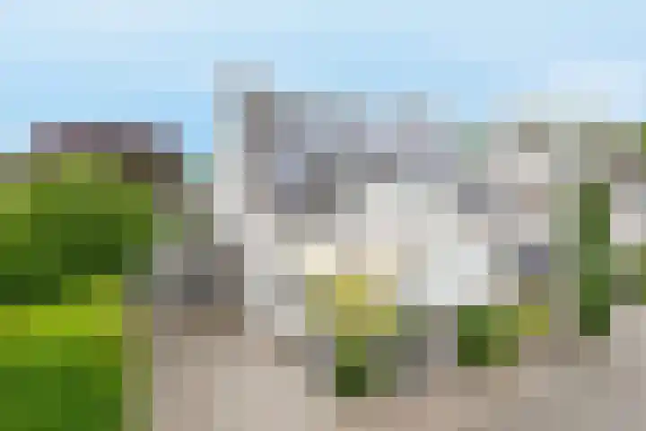 Spoorwiel 8 Raamsdonksveer thumbnail 11