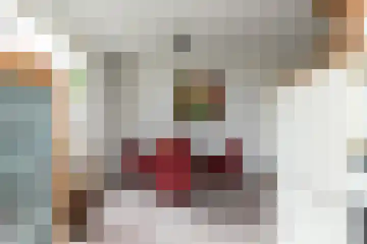 Spoorwiel 8 Raamsdonksveer thumbnail 19