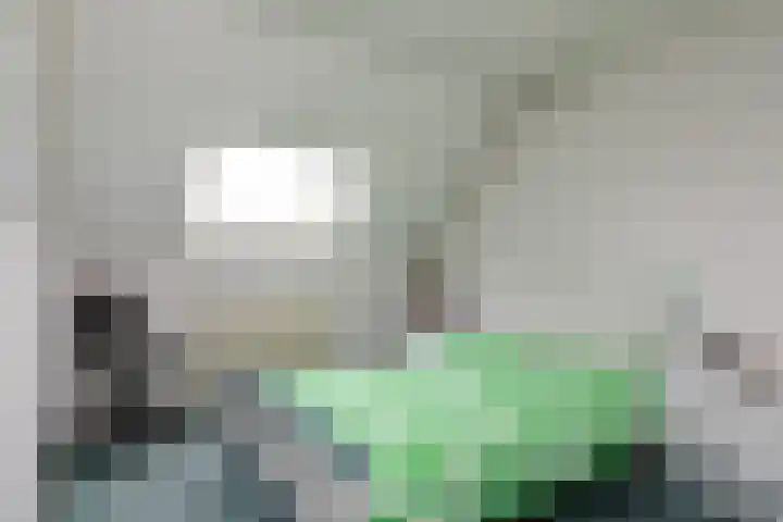 Spoorwiel 8 Raamsdonksveer thumbnail 28