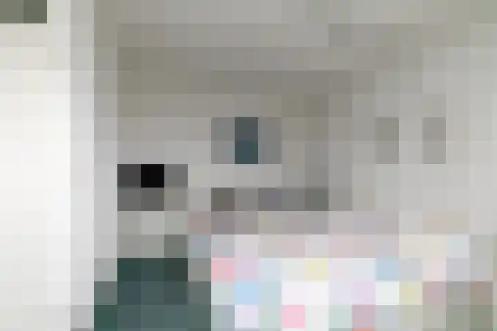 Spoorwiel 8 Raamsdonksveer thumbnail 33