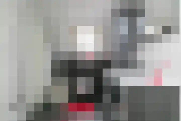 Spoorwiel 8 Raamsdonksveer thumbnail 4