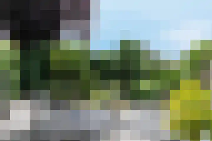 Spoorwiel 8 Raamsdonksveer thumbnail 41