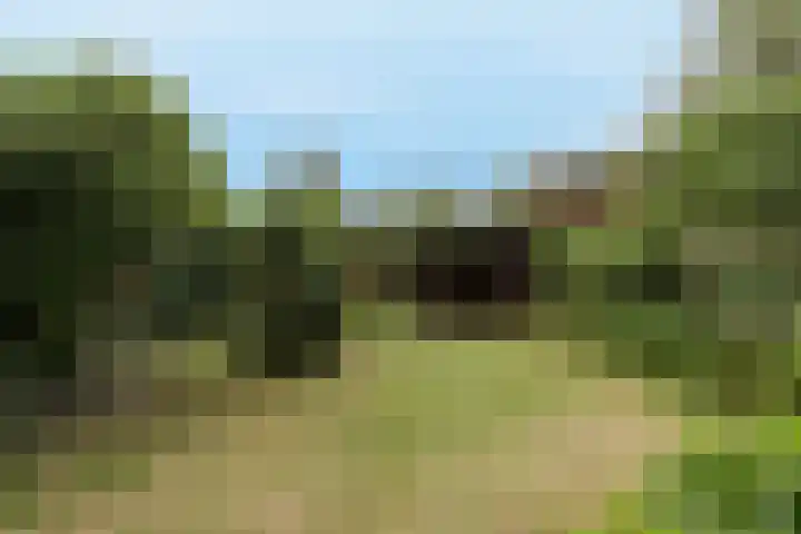 Spoorwiel 8 Raamsdonksveer thumbnail 43