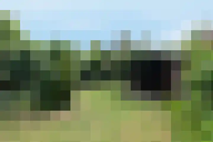 Spoorwiel 8 Raamsdonksveer thumbnail 44