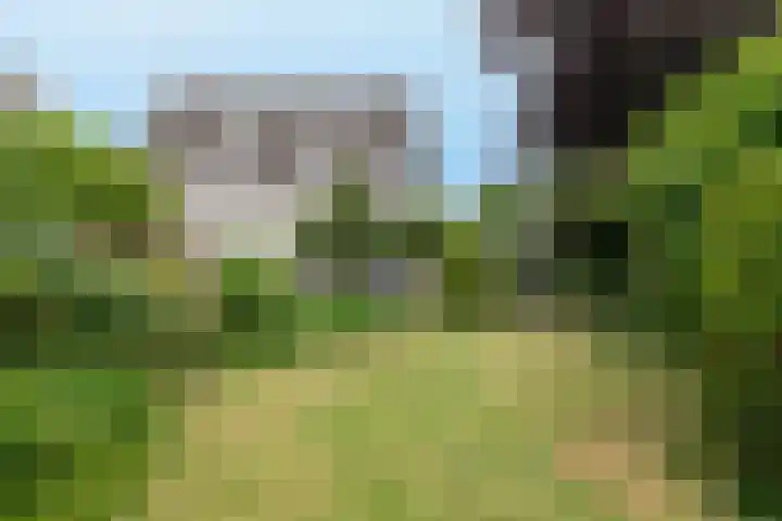 Spoorwiel 8 Raamsdonksveer thumbnail 45