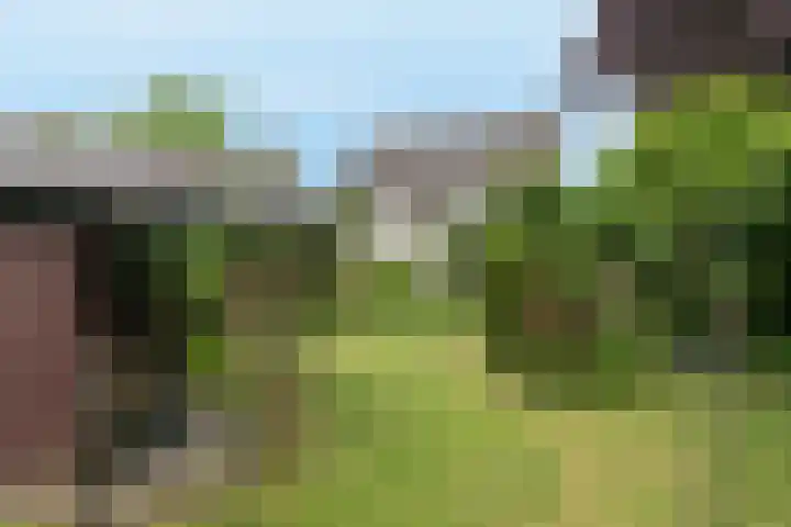 Spoorwiel 8 Raamsdonksveer thumbnail 46