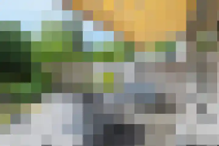 Spoorwiel 8 Raamsdonksveer thumbnail 49