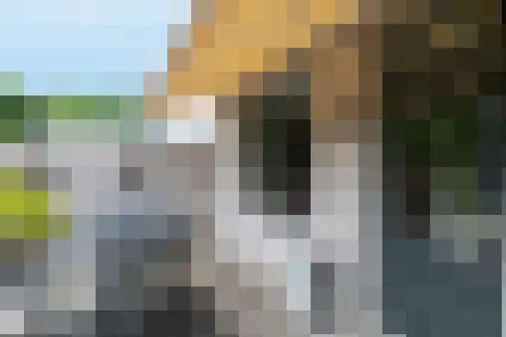 Spoorwiel 8 Raamsdonksveer thumbnail 50