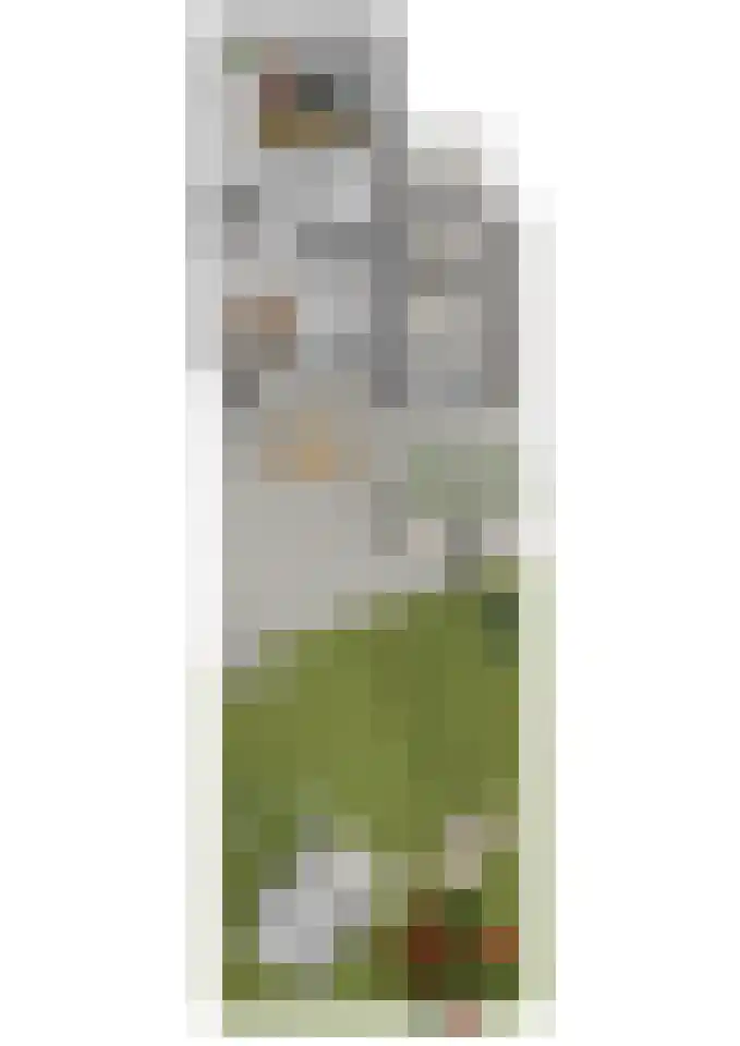 Spoorwiel 8 Raamsdonksveer thumbnail 60