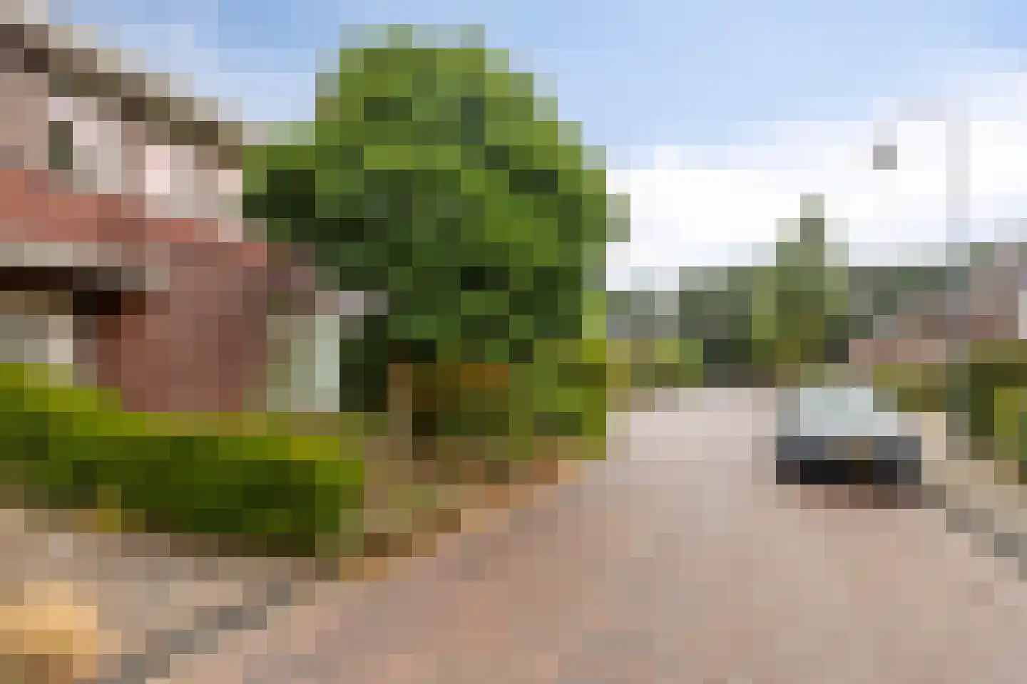 Spoorzicht 16 Terborg thumbnail 28
