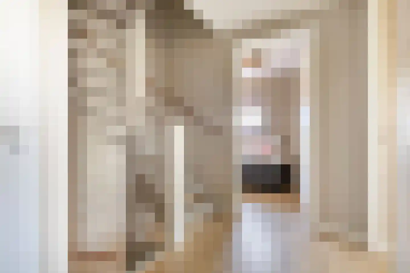 Spoorzicht 3 Warmenhuizen thumbnail 11