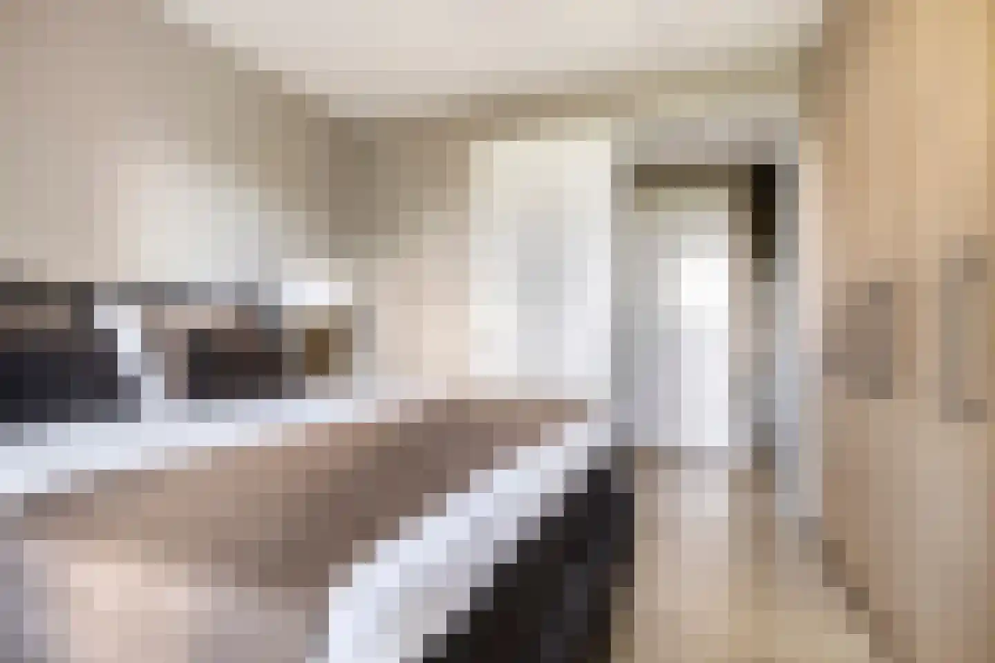 Spoorzicht 3 Warmenhuizen thumbnail 14