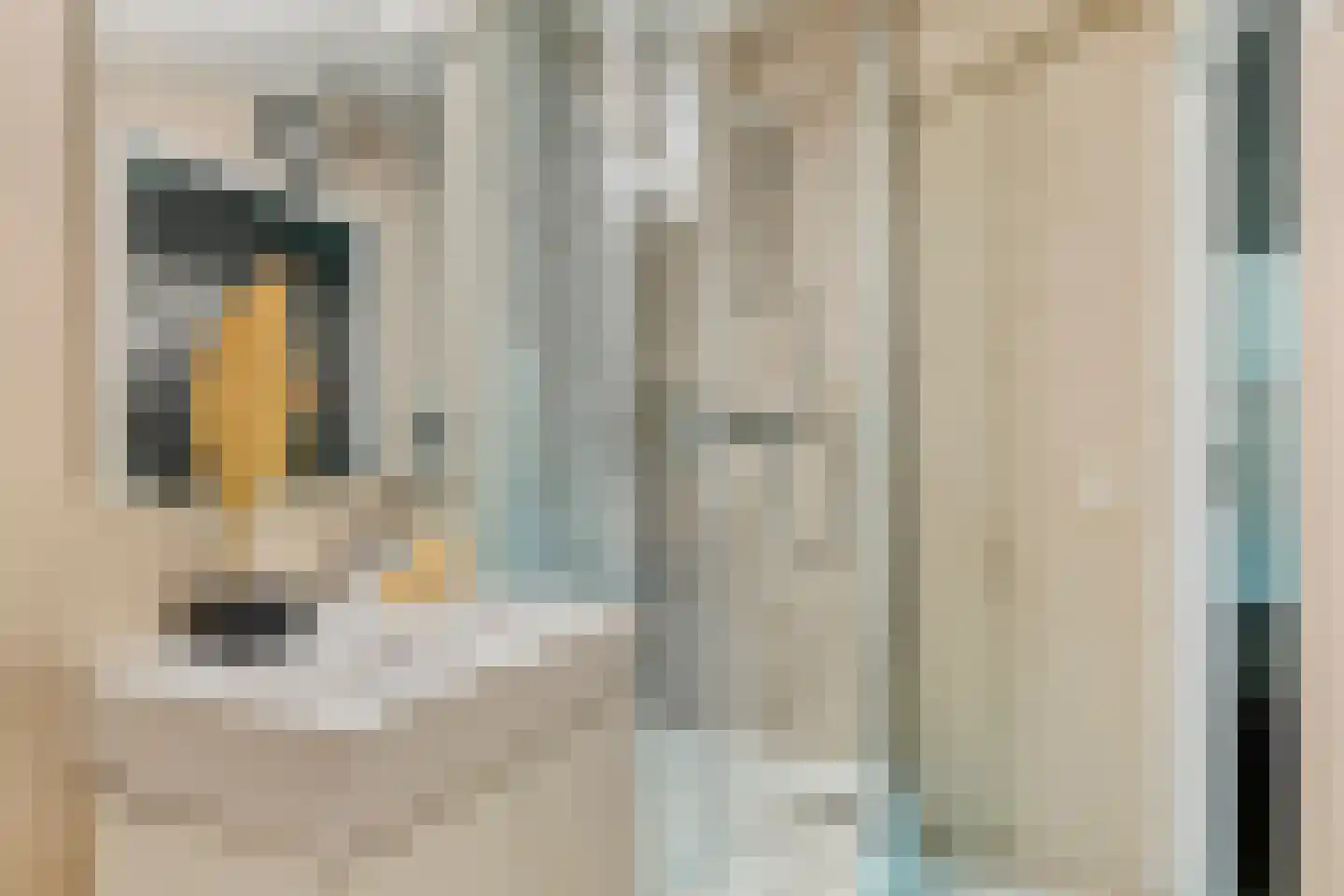 Spoorzicht 3 Warmenhuizen thumbnail 24