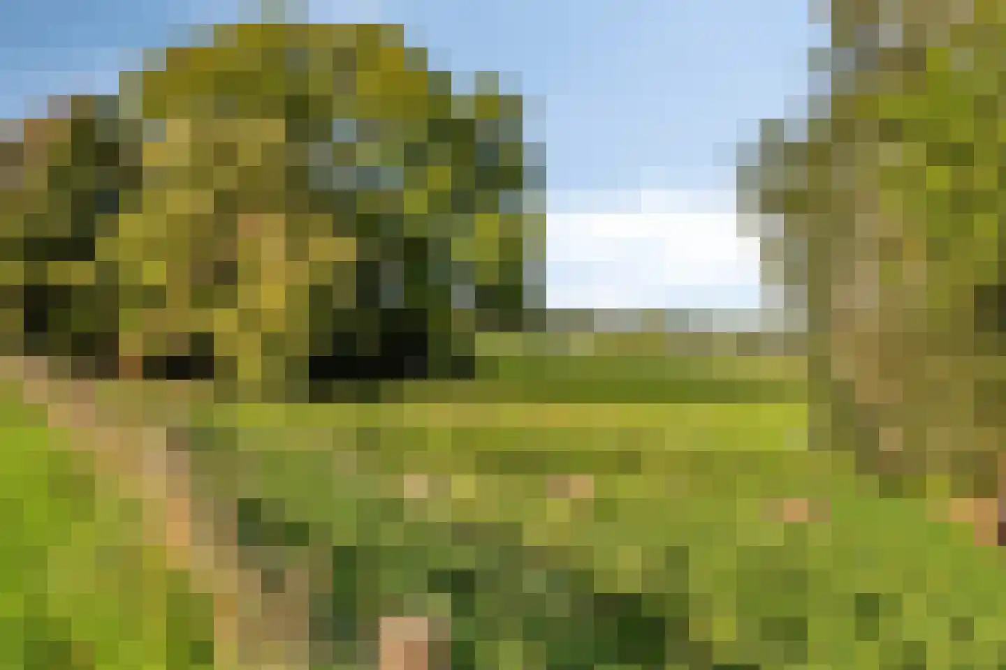 Spoorzicht 3 Warmenhuizen thumbnail 31