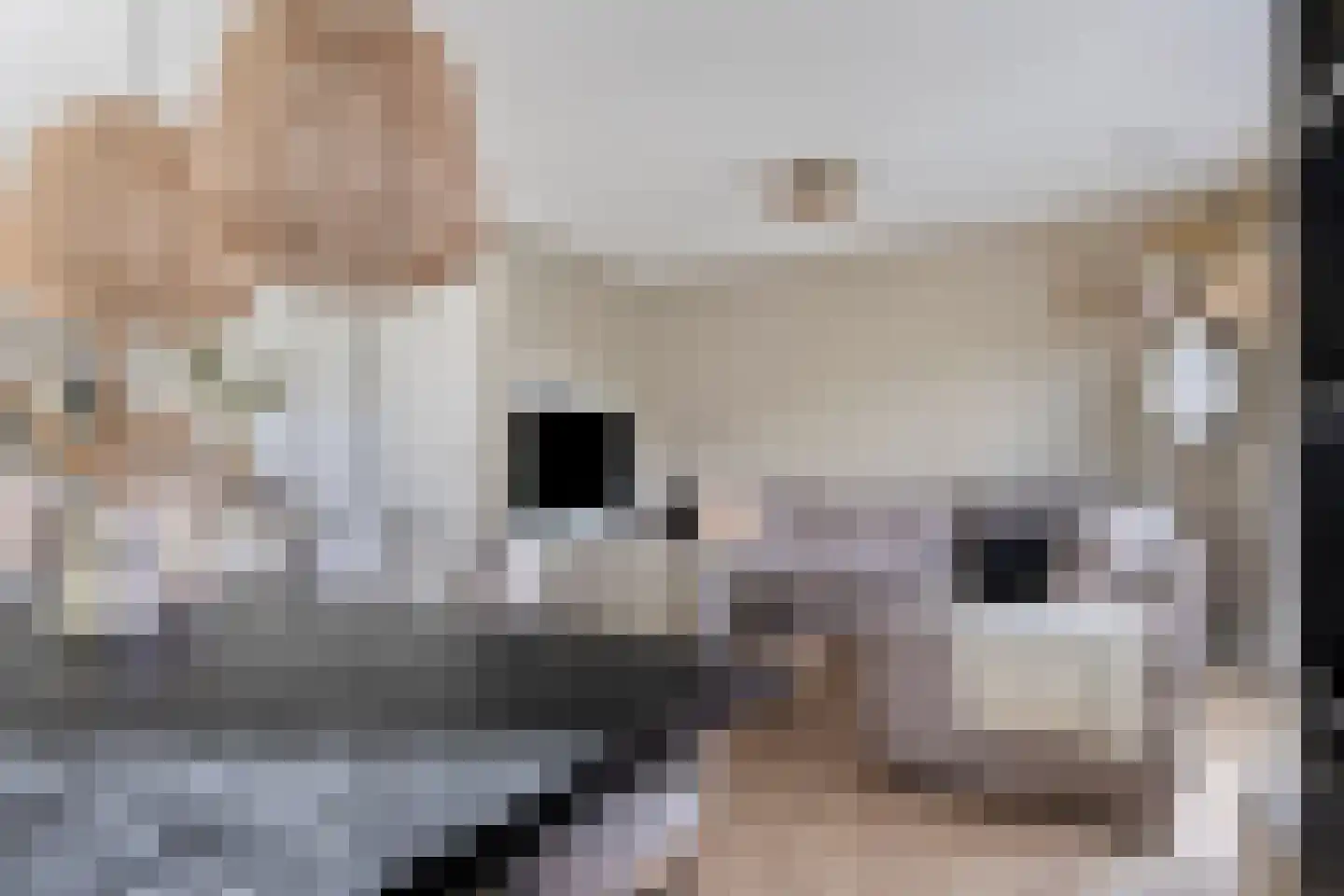 Spoorzicht 3 Warmenhuizen thumbnail 5