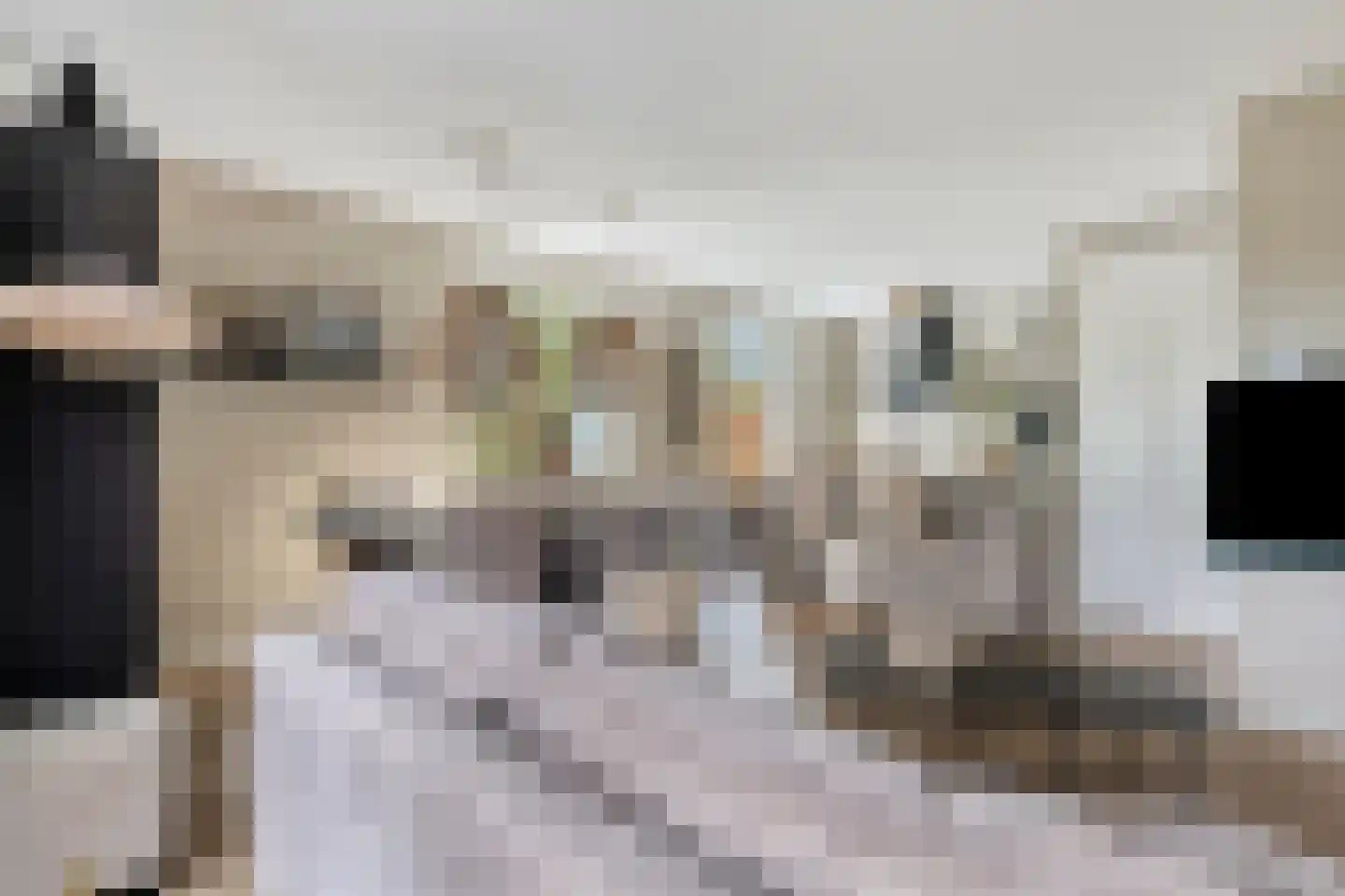 Spoorzicht 3 Warmenhuizen thumbnail 6