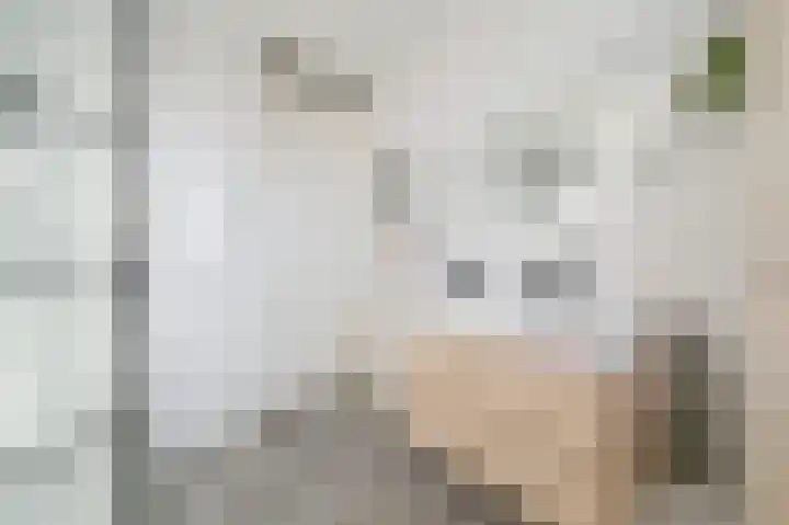 Spoorzicht 5 Wilnis thumbnail 20