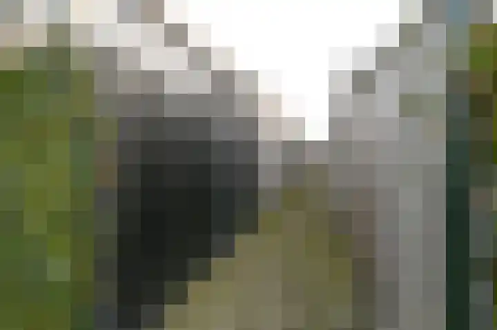 Spoorzicht 5 Wilnis thumbnail 34