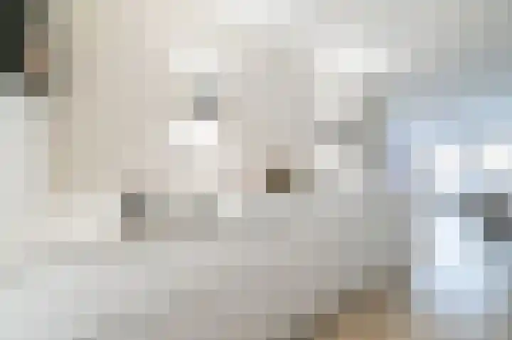 Spoorzicht 5 Wilnis thumbnail 9