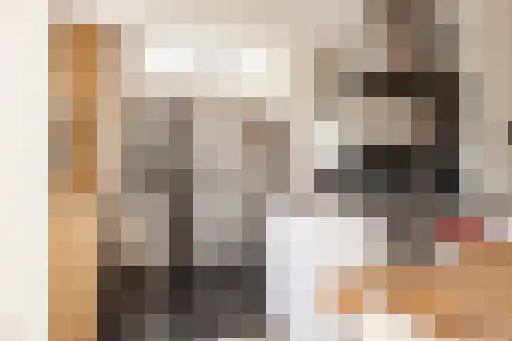 Spoorzichtlaan 11 Heemstede thumbnail 13