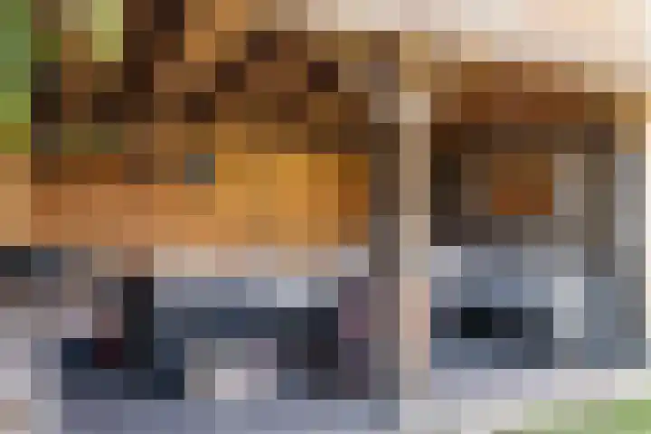 Spoorzichtlaan 11 Heemstede thumbnail 19