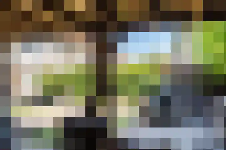 Spoorzichtlaan 11 Heemstede thumbnail 20
