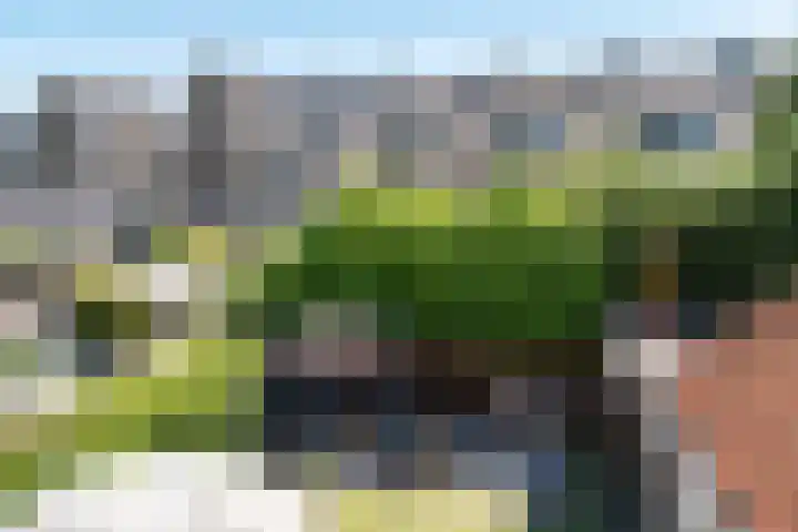 Spoorzichtlaan 11 Heemstede thumbnail 27