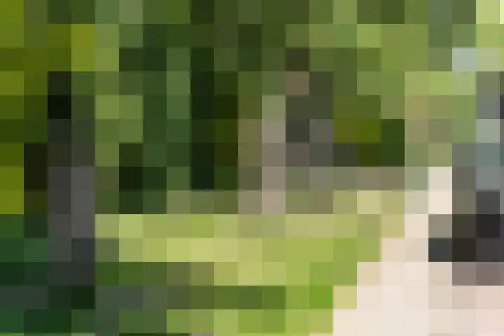 Spoorzichtlaan 11 Heemstede thumbnail 43