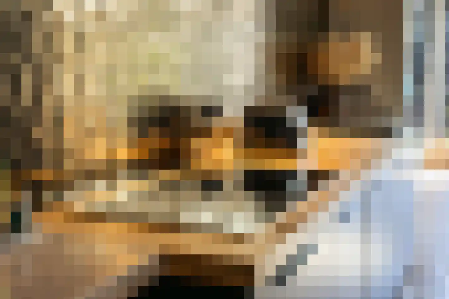 Spoorzichtlaan 15 Heemstede thumbnail 16