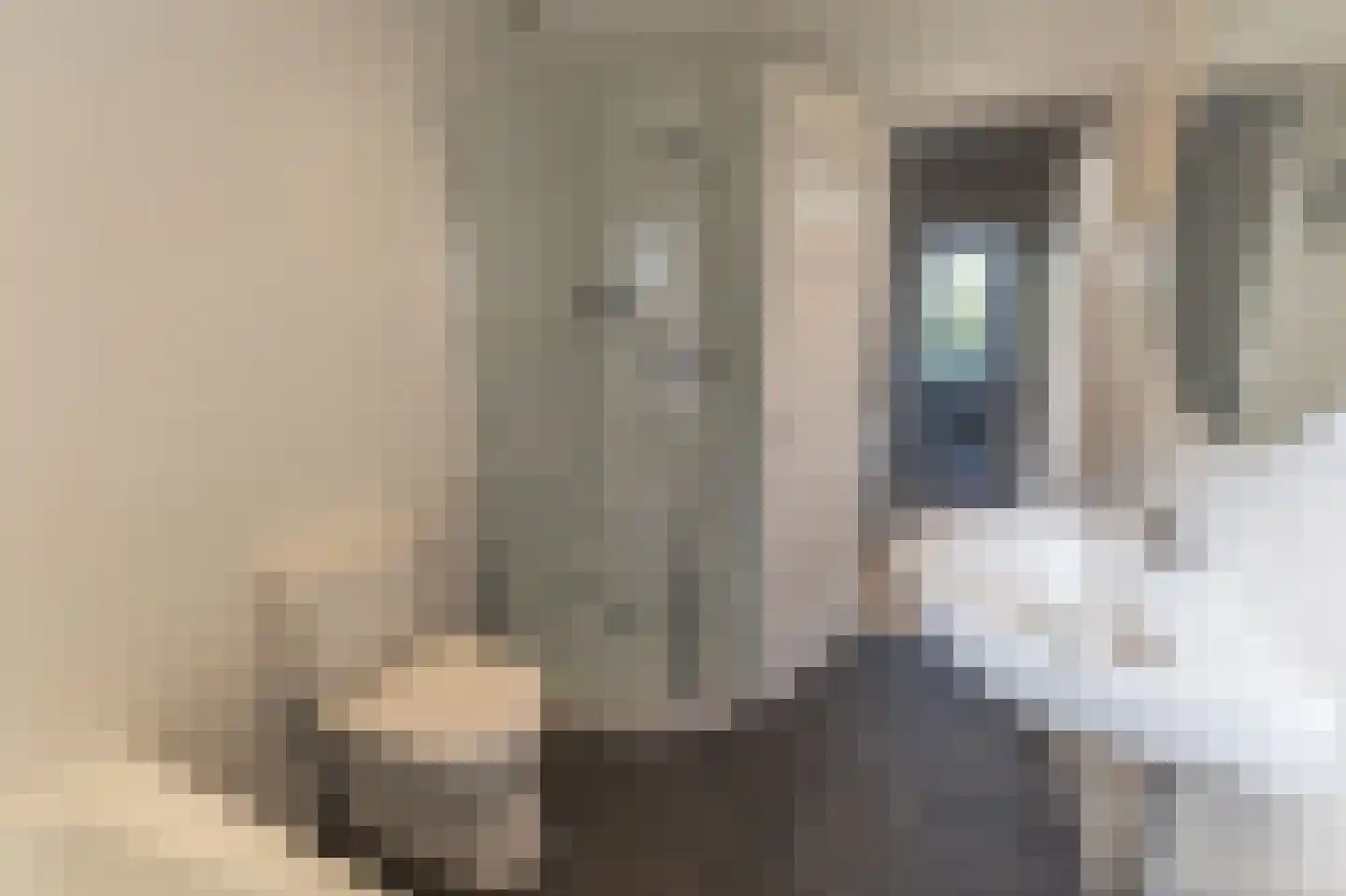 Spoorzichtlaan 15 Heemstede thumbnail 34